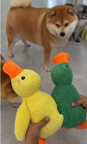 Stuffed Squeaky Plush  Dog Toy for Pets Engagement